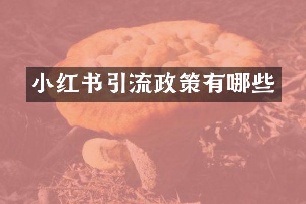 小红书引流政策有哪些