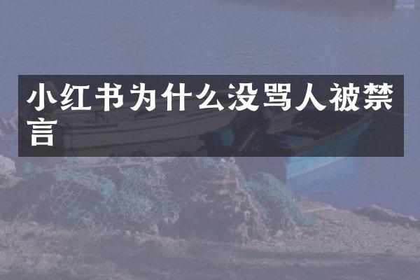 小红书为什么没骂人被禁言