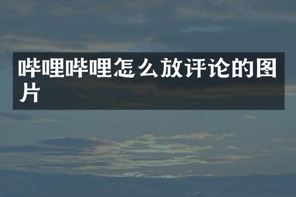哔哩哔哩怎么放评论的图片