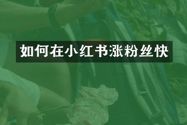 如何在小红书涨粉丝快