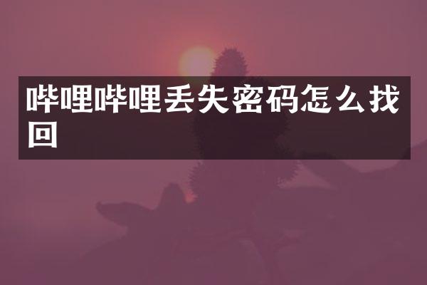 哔哩哔哩丢失密码怎么找回