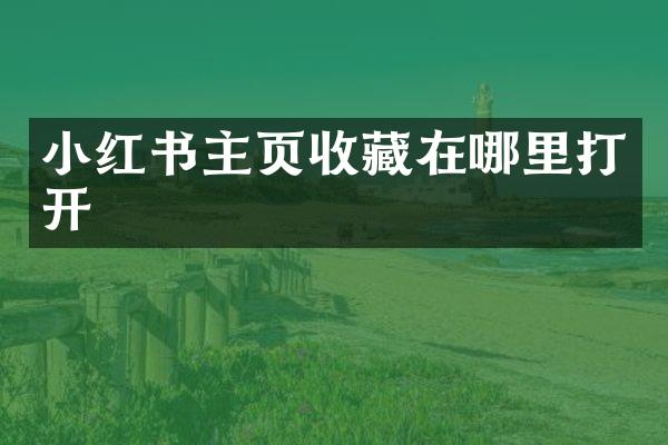 小红书主页收藏在哪里打开