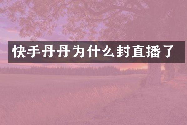 快手丹丹为什么封直播了