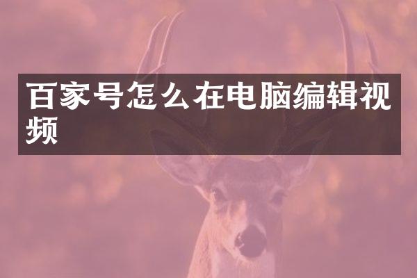 百家号怎么在电脑编辑视频