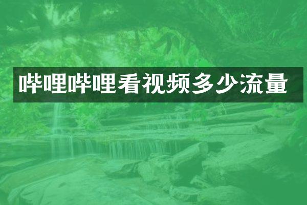 哔哩哔哩看视频多少流量