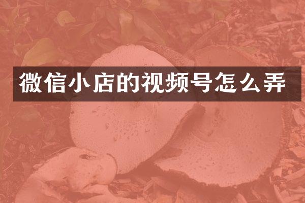 微信小店的视频号怎么弄