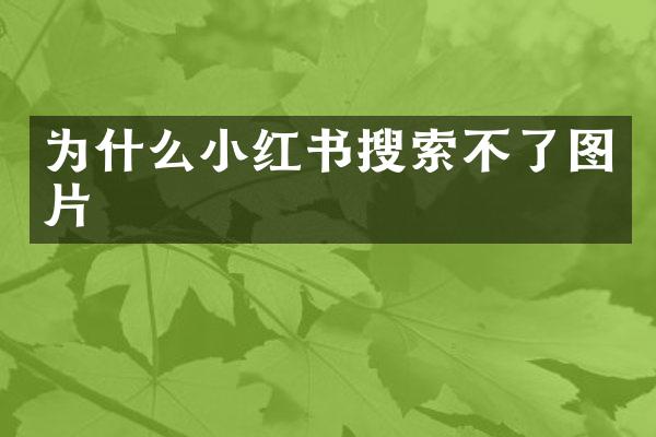 为什么小红书搜索不了图片