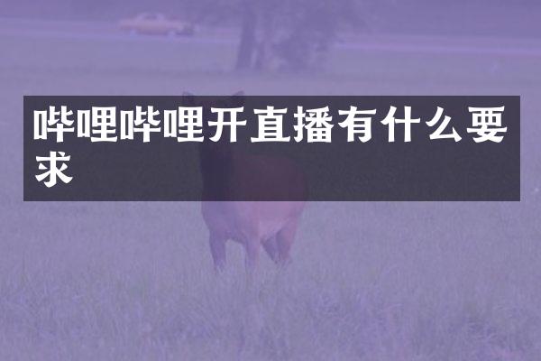 哔哩哔哩开直播有什么要求