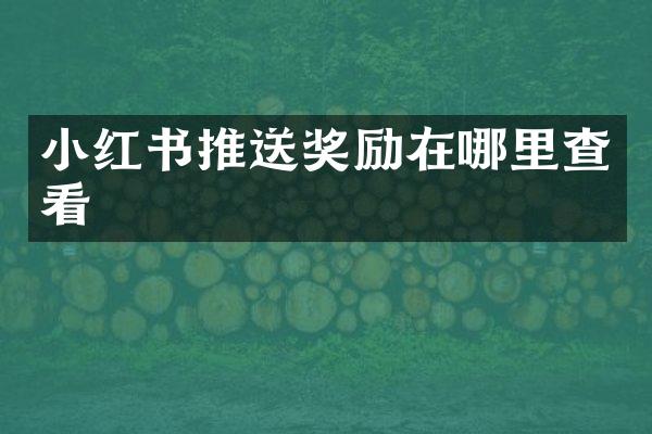 小红书推送奖励在哪里查看
