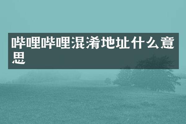 哔哩哔哩混淆地址什么意思