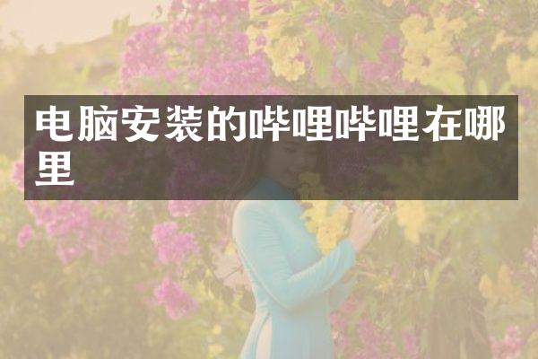 电脑安装的哔哩哔哩在哪里