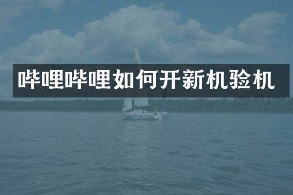 哔哩哔哩如何开新机验机