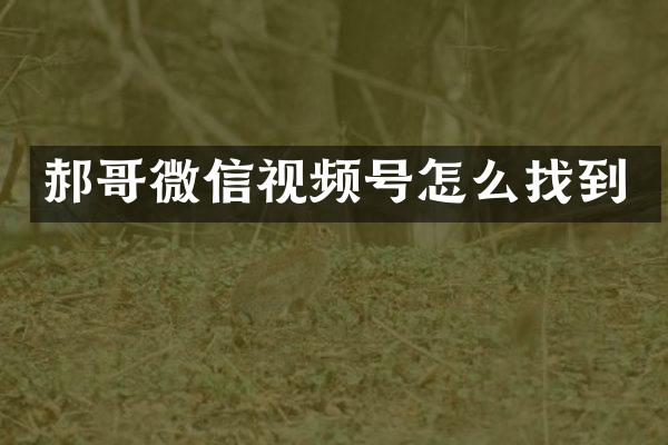 郝哥微信视频号怎么找到