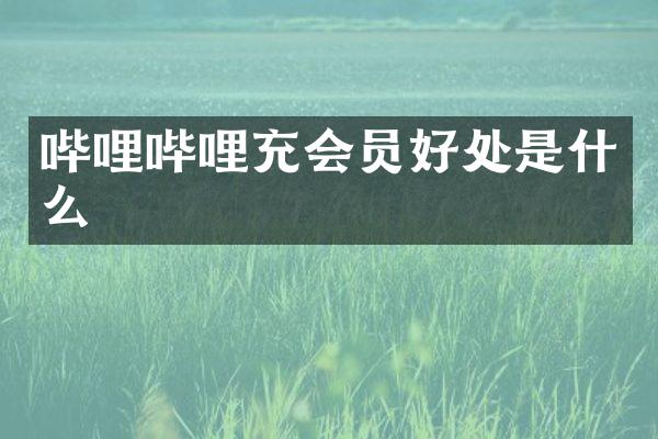 哔哩哔哩充会员好处是什么