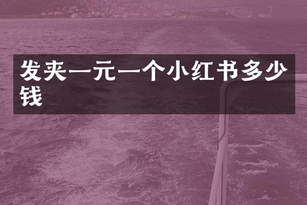 发夹一元一个小红书多少钱