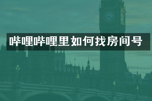 哔哩哔哩里如何找房间号