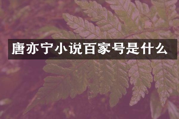 唐亦宁小说百家号是什么