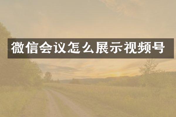 微信会议怎么展示视频号