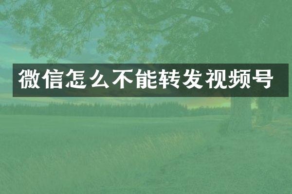 微信怎么不能转发视频号