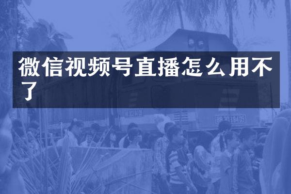 微信视频号直播怎么用不了