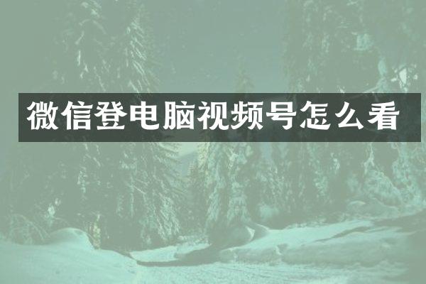 微信登电脑视频号怎么看