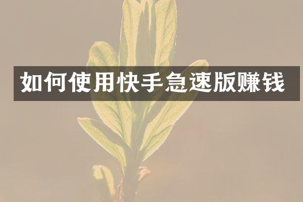 如何使用快手急速版赚钱