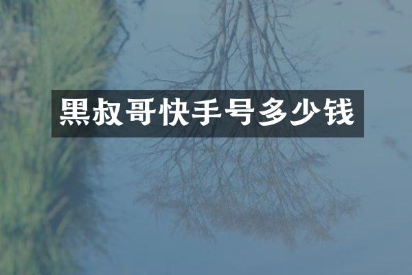 黑叔哥快手号多少钱