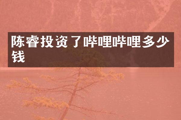 陈睿投资了哔哩哔哩多少钱