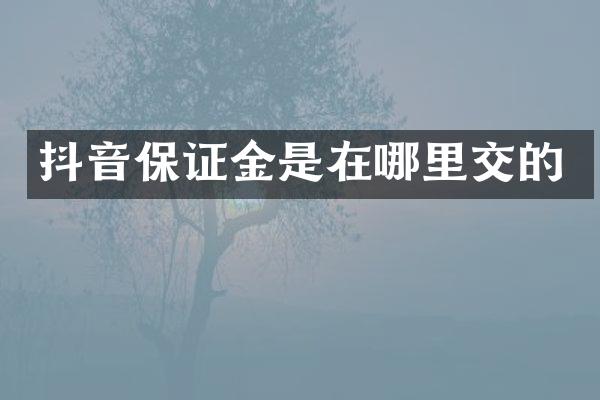 抖音保证金是在哪里交的