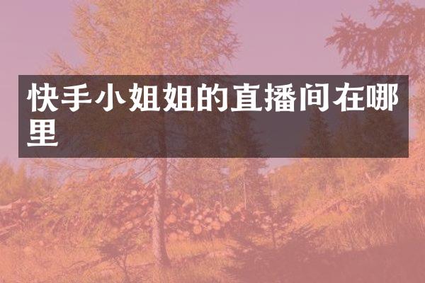 快手小姐姐的直播间在哪里