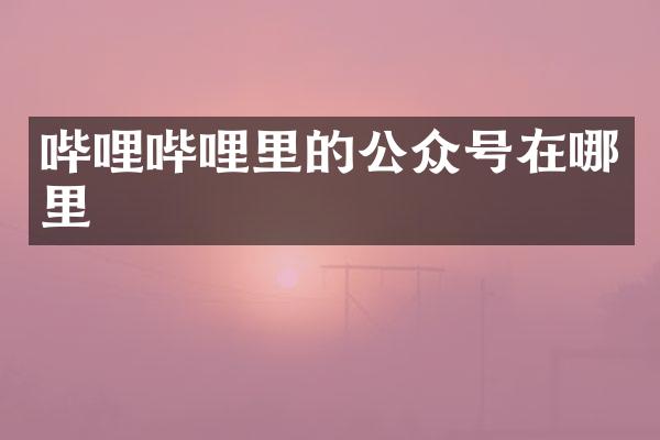 哔哩哔哩里的公众号在哪里