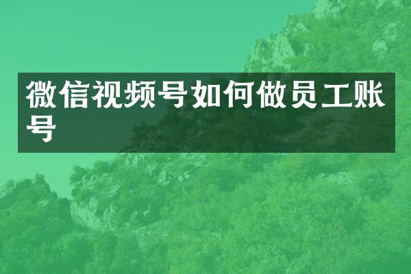 微信视频号如何做员工账号