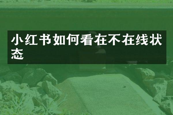 小红书如何看在不在线状态