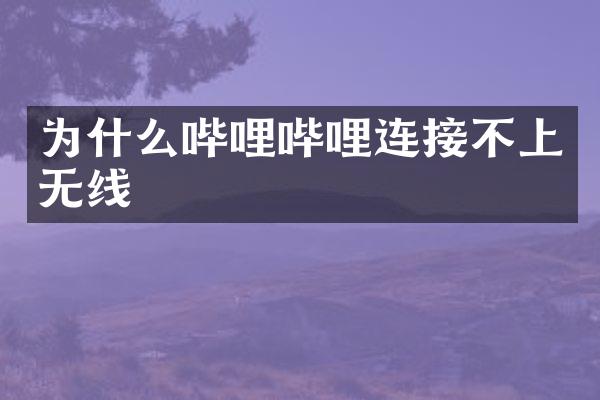 为什么哔哩哔哩连接不上无线