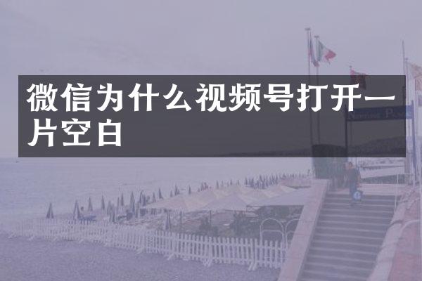 微信为什么视频号打开一片空白