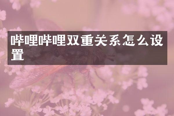 哔哩哔哩双重关系怎么设置