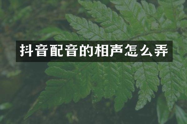 抖音配音的相声怎么弄