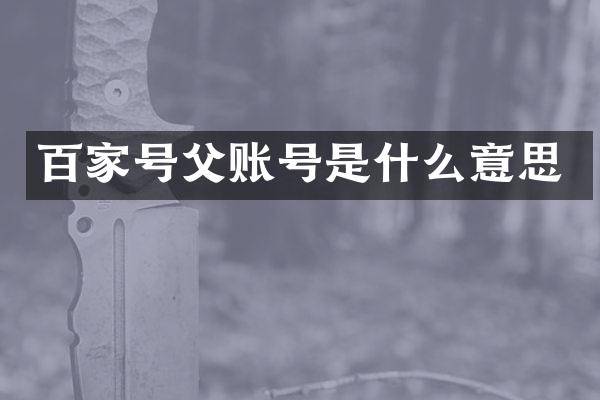 百家号父账号是什么意思