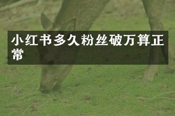 小红书多久粉丝破万算正常