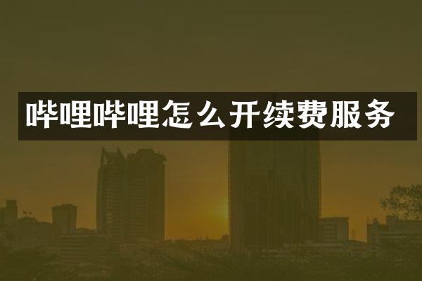 哔哩哔哩怎么开续费服务