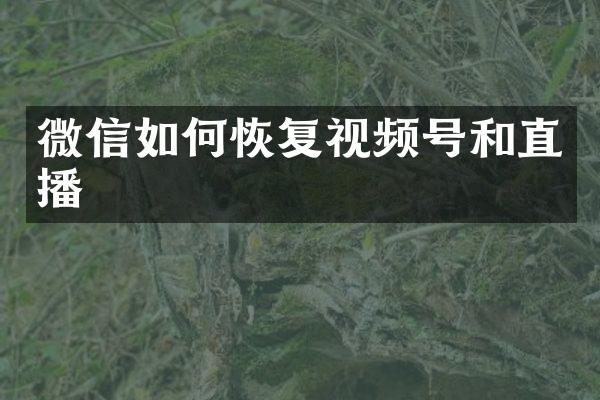 微信如何恢复视频号和直播