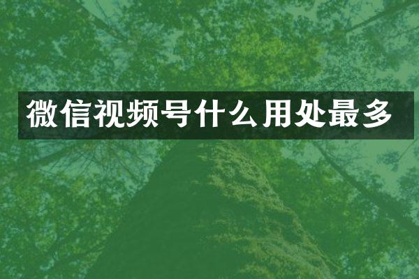 微信视频号什么用处最多