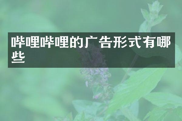 哔哩哔哩的广告形式有哪些