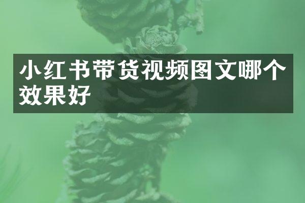 小红书带货视频图文哪个效果好