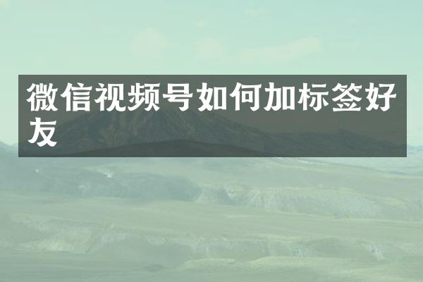微信视频号如何加标签好友