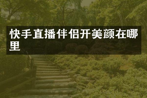 快手直播伴侣开美颜在哪里