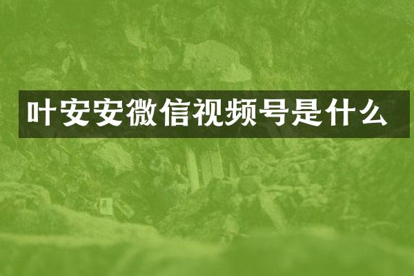 叶安安微信视频号是什么
