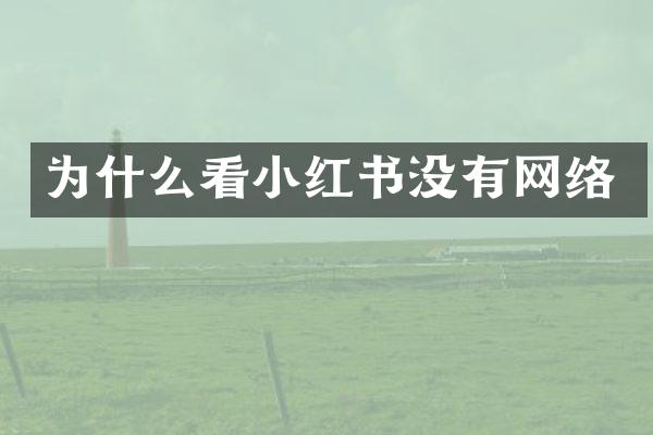 为什么看小红书没有网络