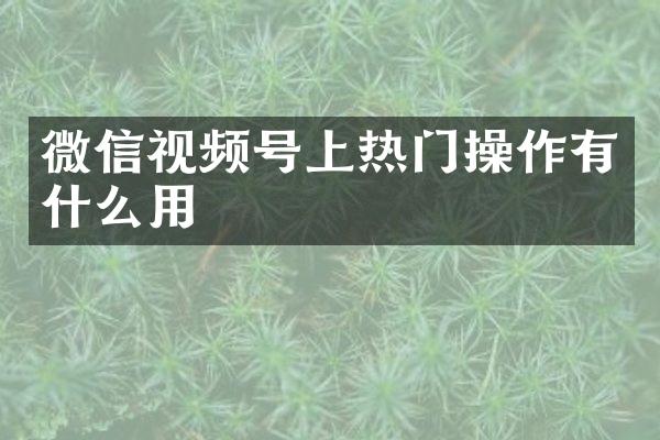 微信视频号上热门操作有什么用
