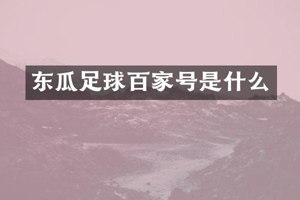 东瓜足球百家号是什么